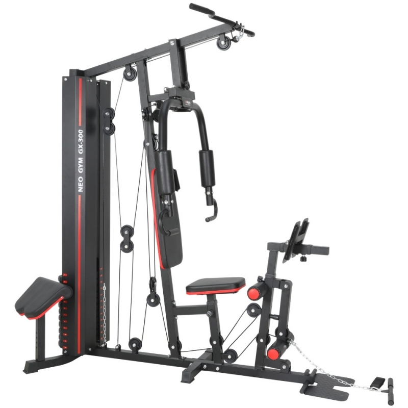 Силовой тренажер Alpin NEO GYM GX-300