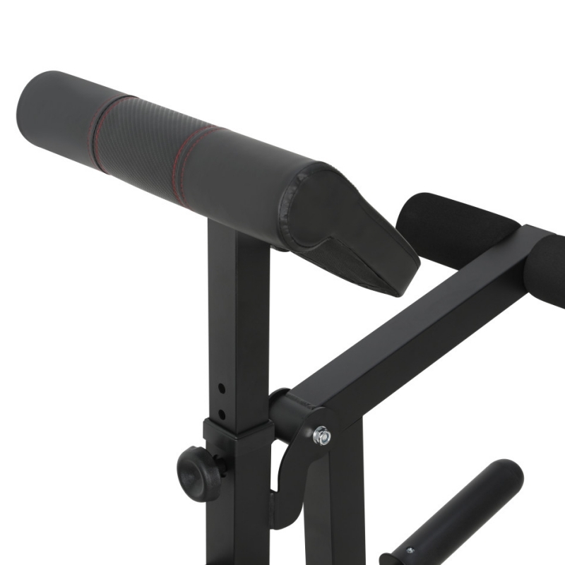 Скамья под штангу Alpin Titan G-50