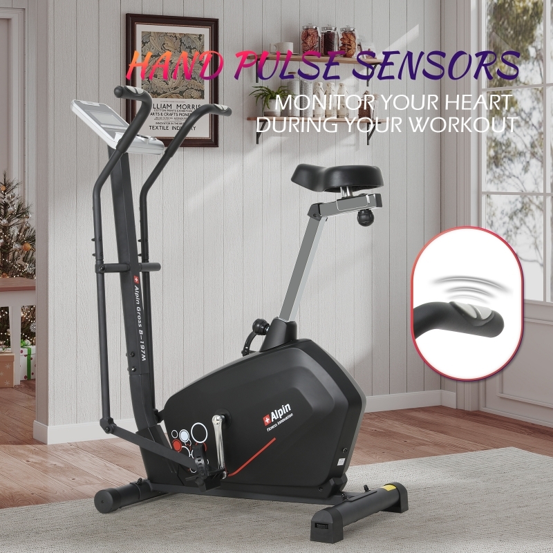 Велотренажер ALPIN Gross B-197M (маховик 8кг; 120 кг)