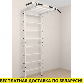 Шведская стенка + турник рукоход (SV Pro Рукоход 850)