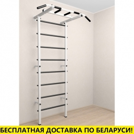 Шведская стенка + турник (SV Pro 800)