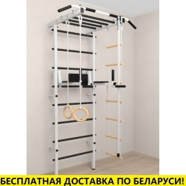 Шведская стенка + турник рукоход + брусья + детское навесное (SV Pro Рукоход 853)