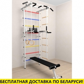 Шведская стенка + турник + брусья + скамья + детское навесное (SV Pro 805)