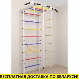 Шведская стенка + турник рукоход + детское навесное (SV Pro Рукоход 851)