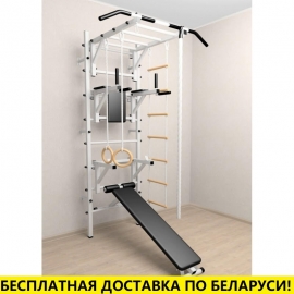 Шведская стенка + турник рукоход + брусья + скамья + стойка под штангу + детское навесное (SV Sport 527)