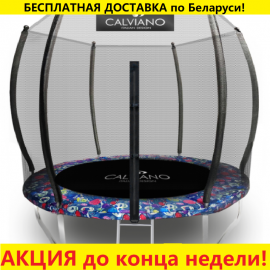 Батут "Calviano" (10ft) MASTER SMILE с внешней сеткой и лестницей. Диаметр - 312 см. Нагрузка - 150 кг.