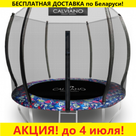 Батут "Calviano" (10ft) MASTER SMILE с внешней сеткой и лестницей. Диаметр - 312 см. Нагрузка - 150 кг.