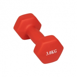 Гантель Profit MDK-101-4 (3 кг) красный